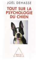 img-livre6